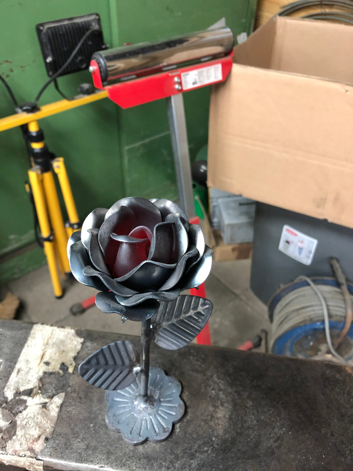 Rose