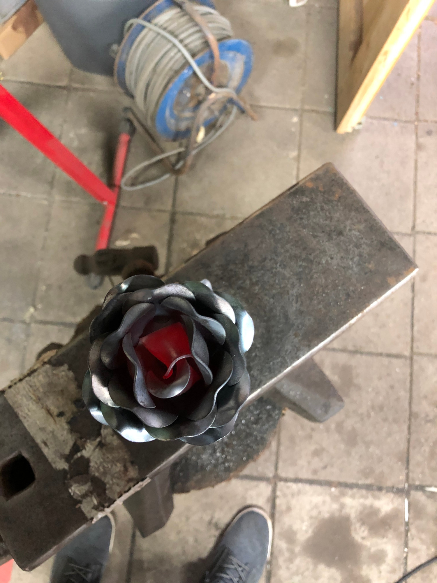 Rose
